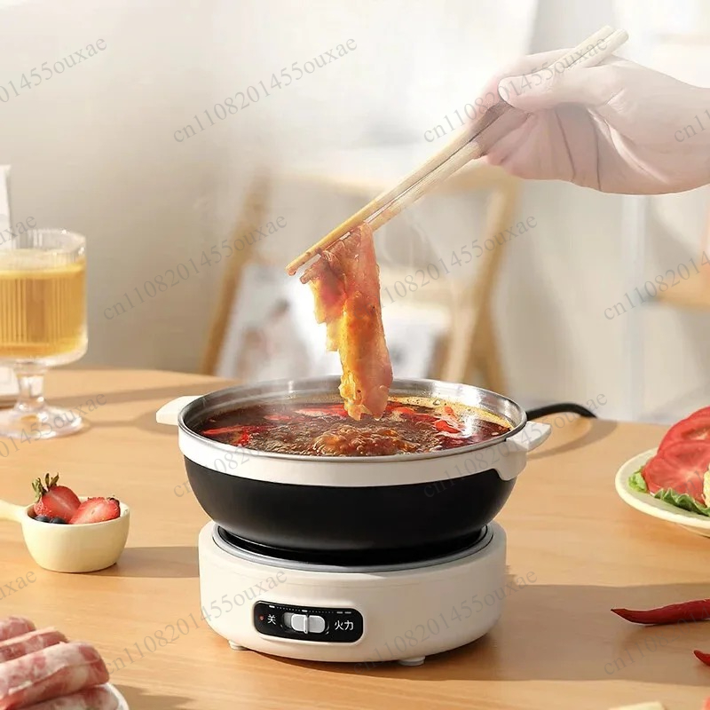 220V Portable Split Multi Cook - огляд і ціна Hot Pot Portable Dual