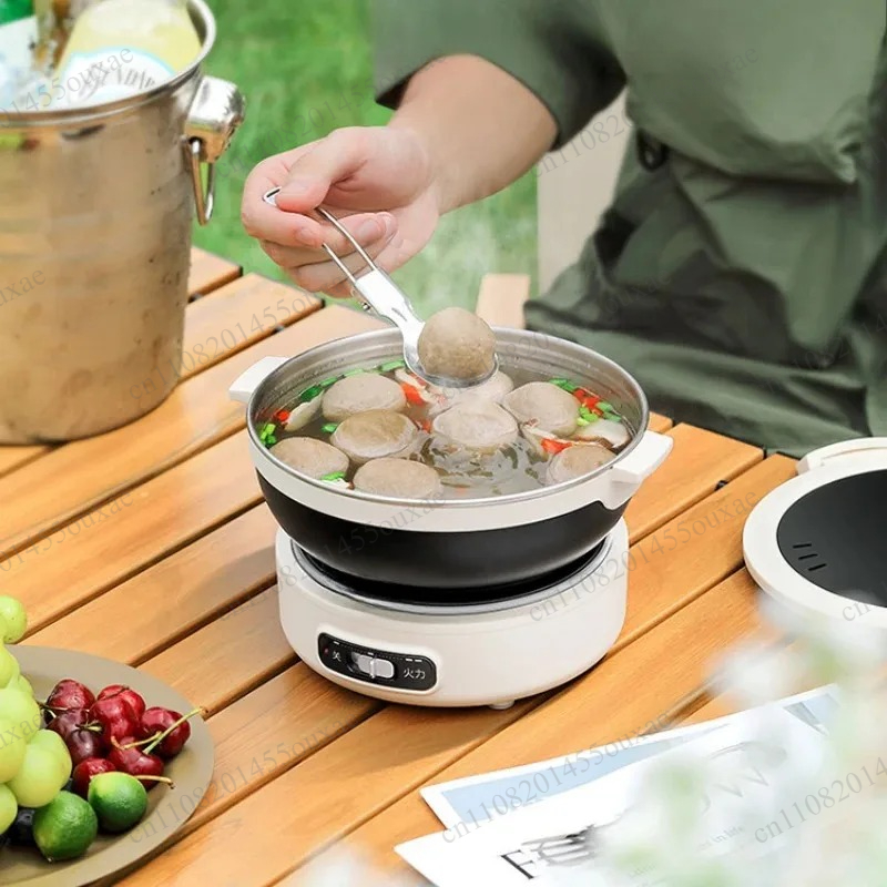 220V Portable Split Multi Cook - огляд і ціна Hot Pot Portable Dual