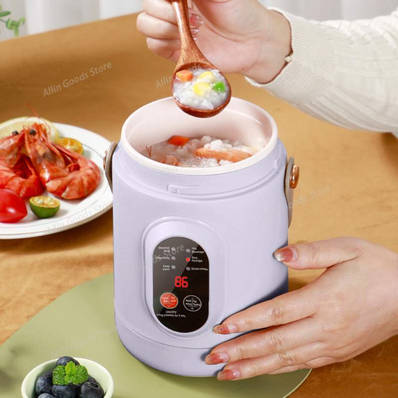 Portable Multifunctional Mini  - огляд і ціна Hot Pot Portable Dual